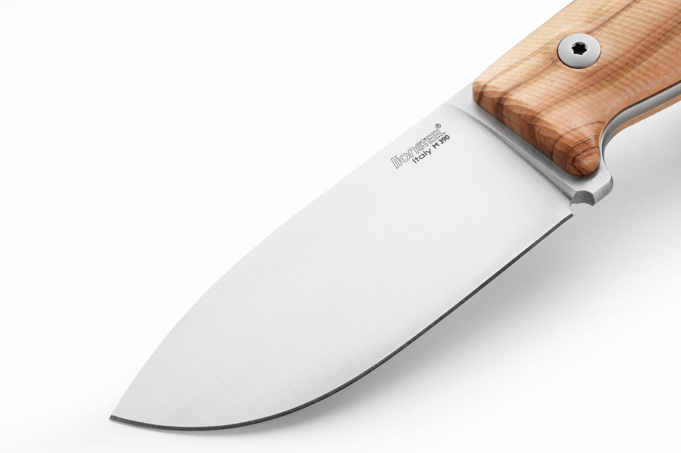 LionSteel M2M Fixed Blade Knife Olive Wood (3.5" Satin M390) M2M CVN