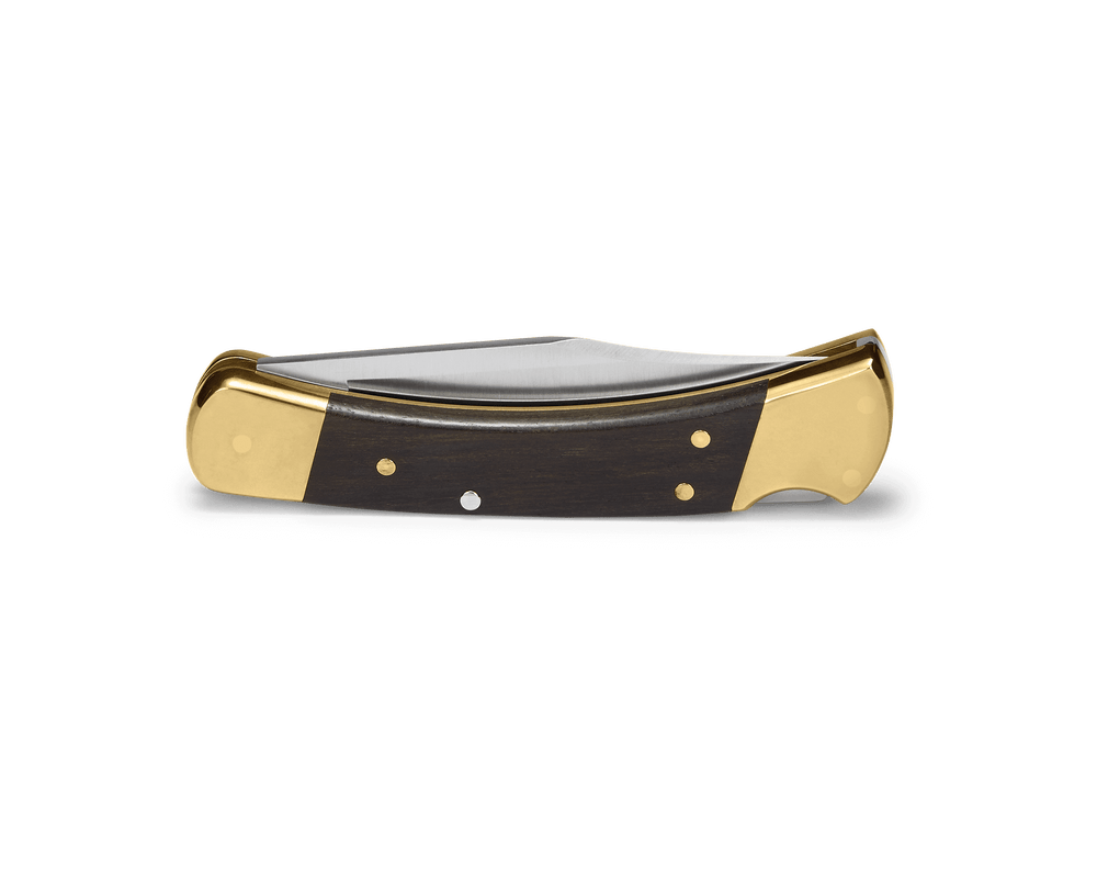 Buck Knives 0110BRSA - B 110 Auto Folding Hunter Knife - 420HC Clip Point Blade, Automatic Lockback, Premium EDC/Hunting Pocket Knife with Ebony Handle and Brass Bolsters - timberknives.com