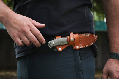 LionSteel M2M Fixed Blade Knife Olive Wood (3.5" Satin M390) M2M CVN - timberknives.com