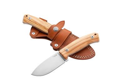LionSteel M2M Fixed Blade Knife Olive Wood (3.5" Satin M390) M2M CVN - timberknives.com